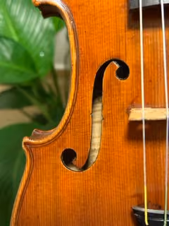 Close-up da caixa de ressonância e cordas de um violino com folhas verdes desfocadas no fundo.