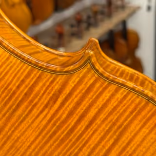 Detalhe da parte superior traseira de um violino com acabamento em madeira brilhante.