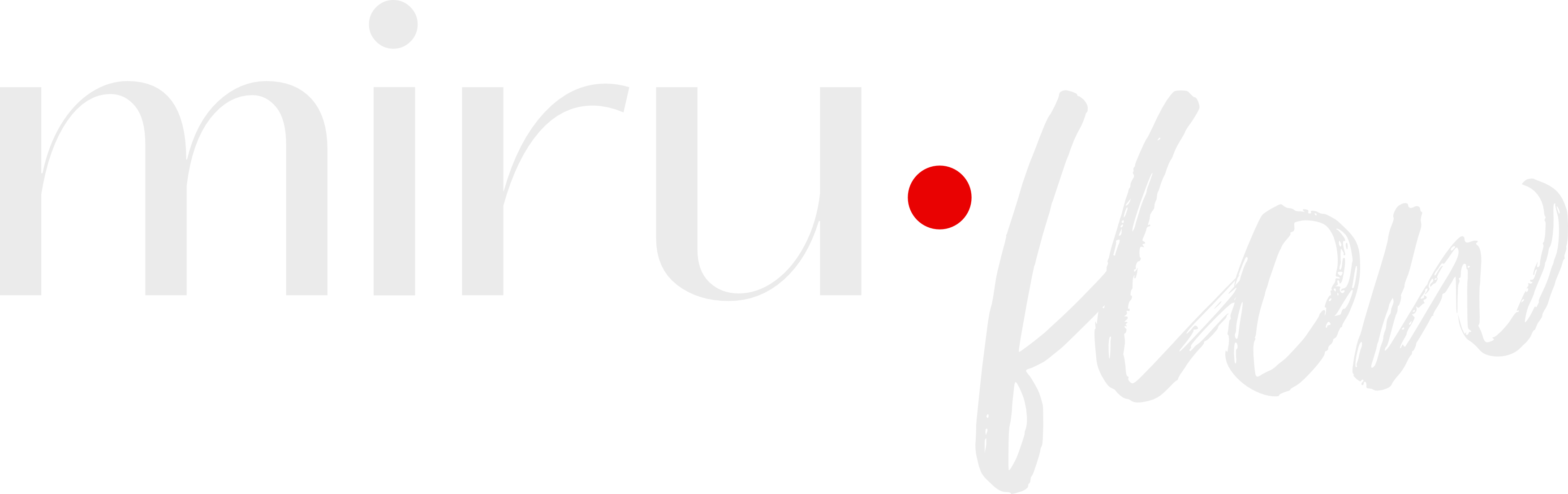 miru.flow. - Logo footer