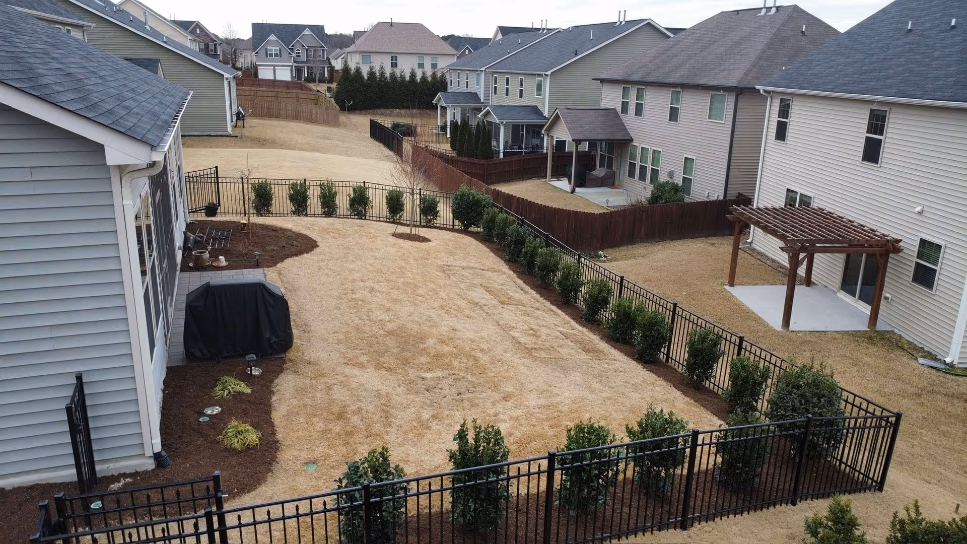 Custom landscape design with professional plantings by Modern Plant Creations in Raleigh, North Carolina