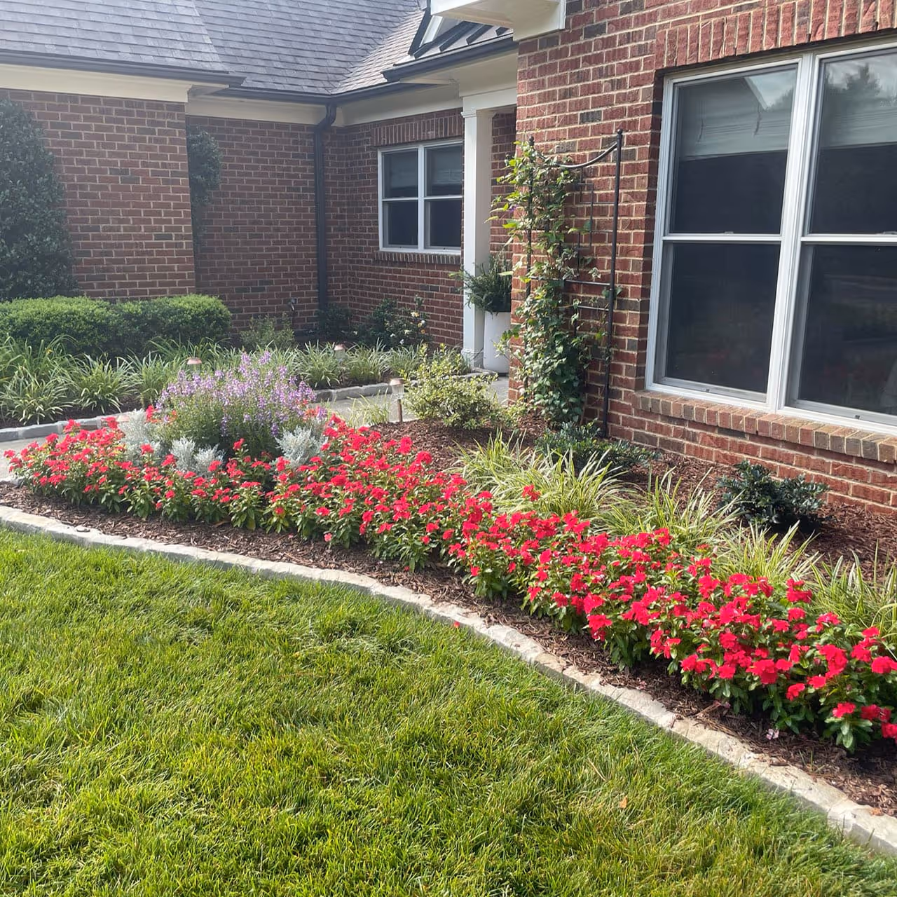 Professional landscape installation with custom plantings and fresh mulch in Raleigh, North Carolina
