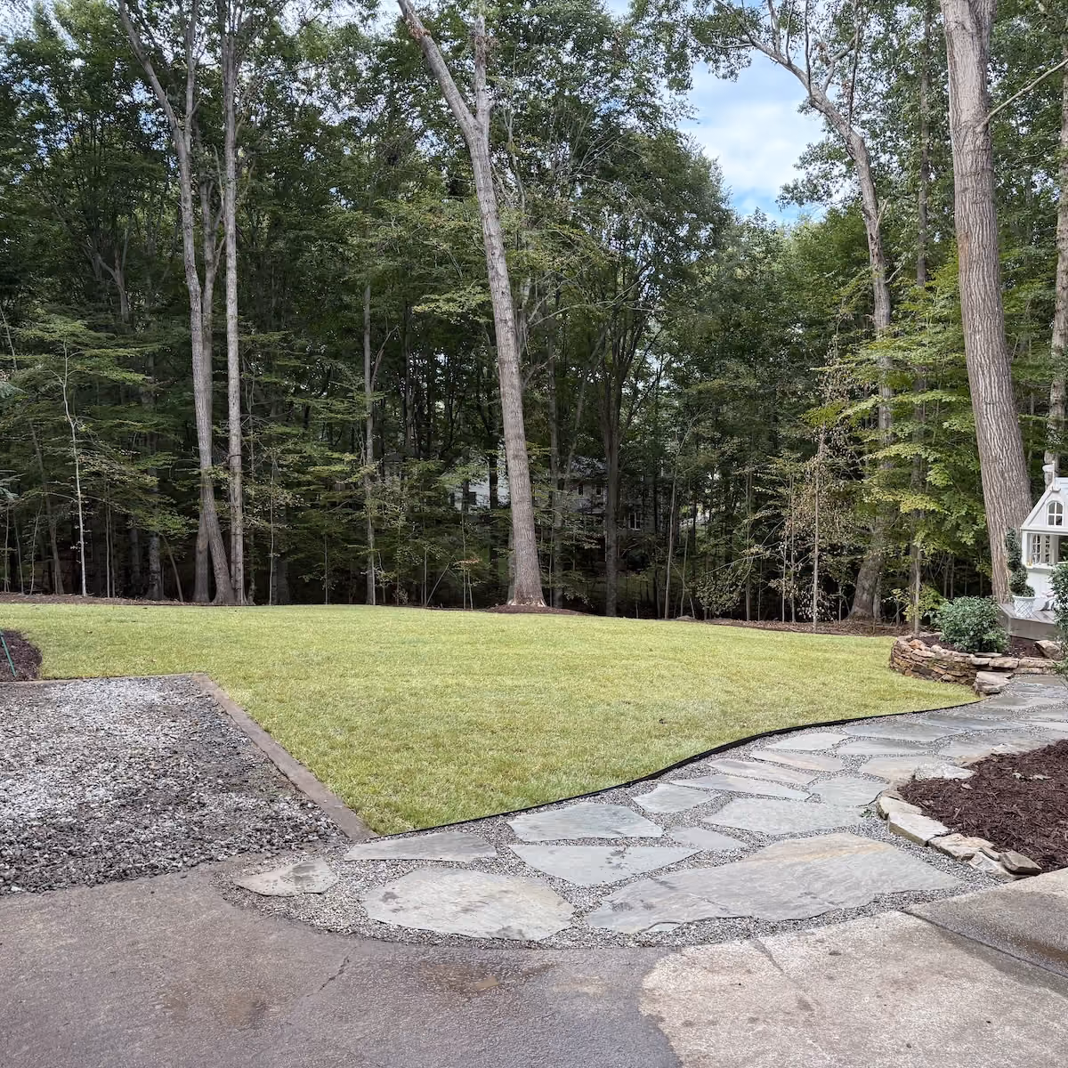Professional lawn renovation with new sod installation
