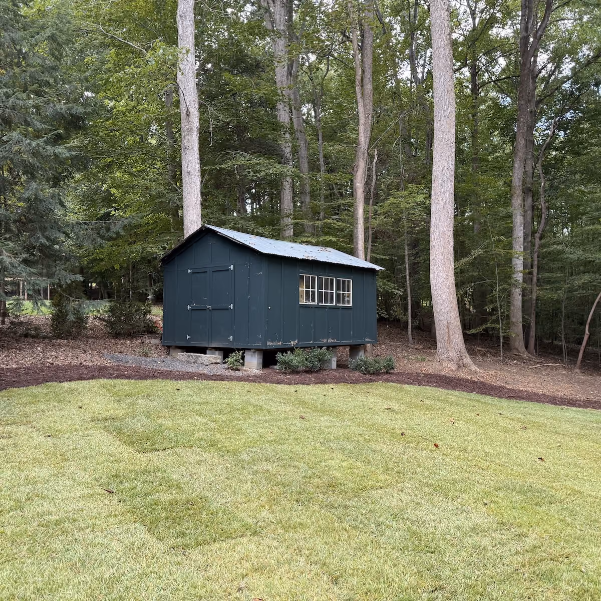 Freshly installed sod creating a beautiful residential lawn
