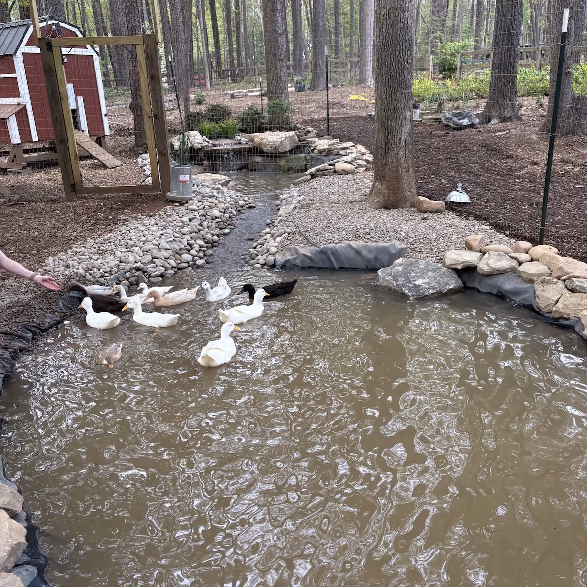 Backyard waterfall integrated into professional landscape design