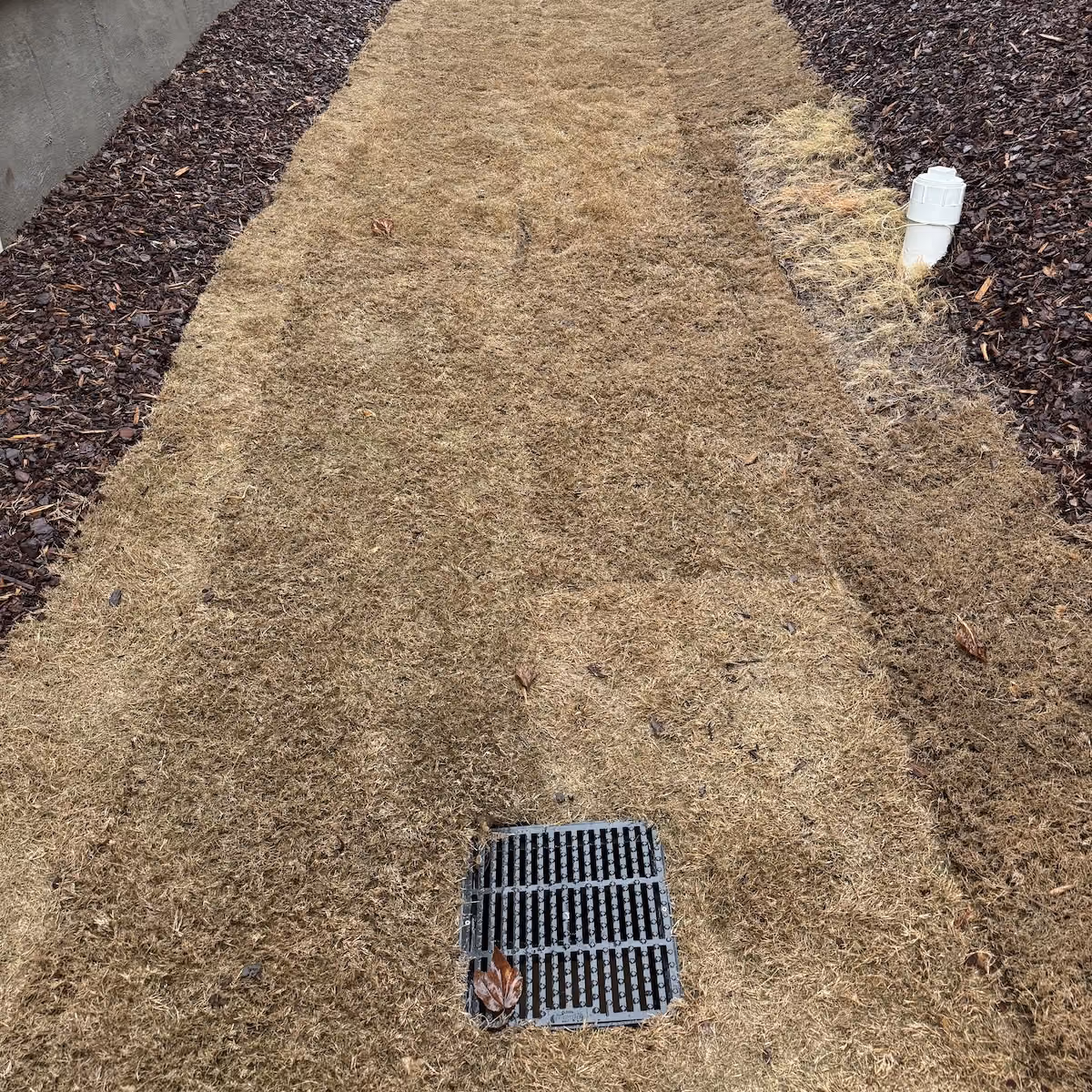 Landscape drainage near me for standing water and runoff problems