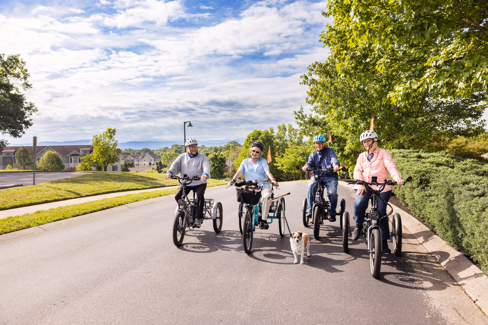 Four seniors riding electric tricycles on a road with a small dog walking beside them.