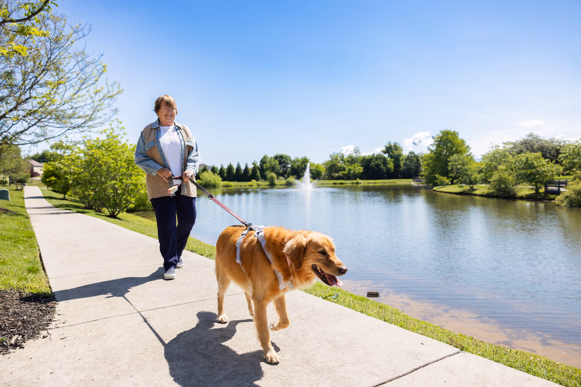Woman walking a golden retriever on a leash along a lakeside path on a sunny day.