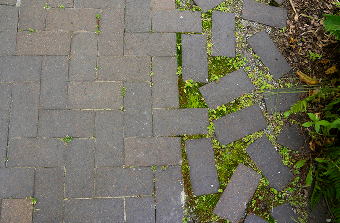 Brick pavement with neatly arranged bricks on the left and scattered bricks with moss on the right.