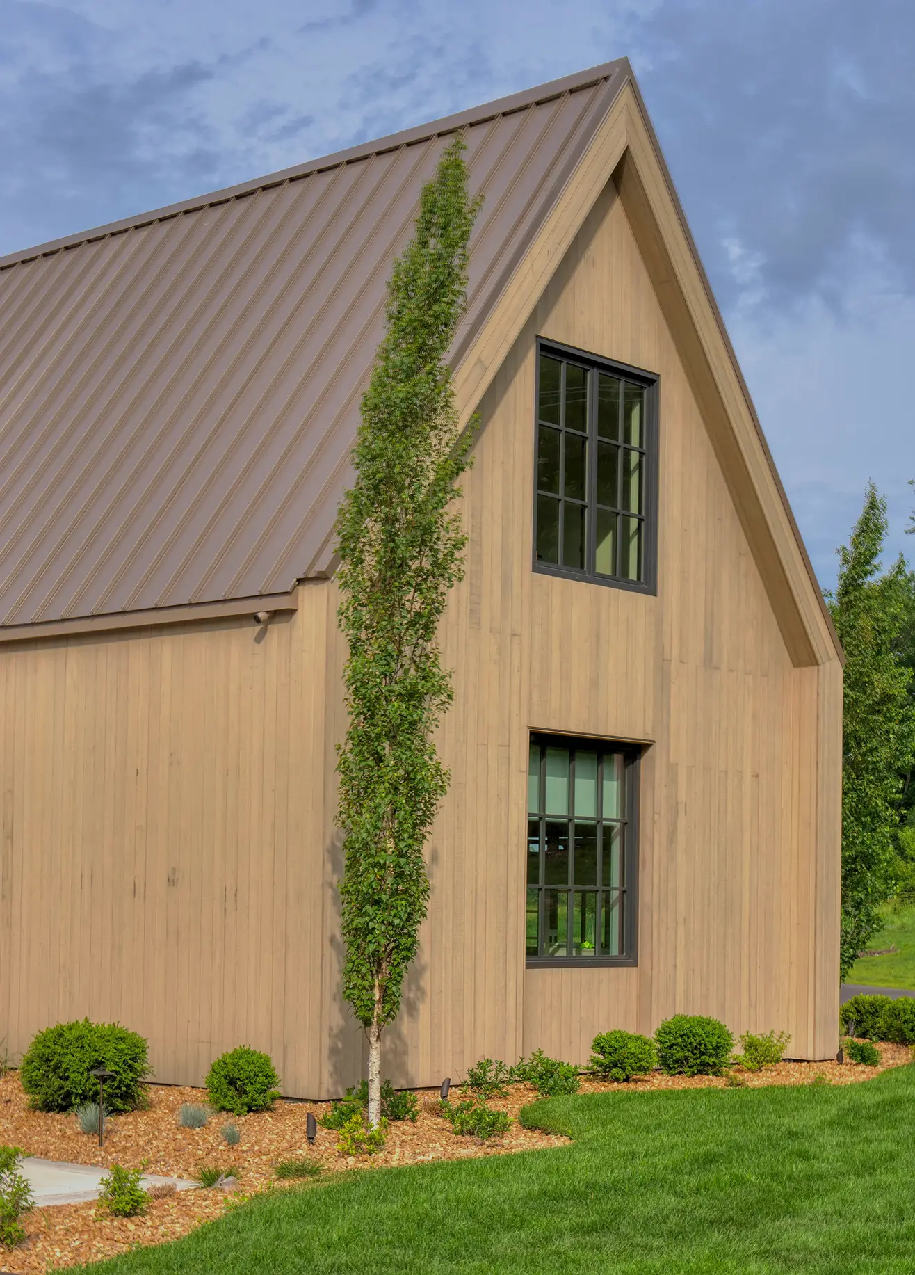 Modern wooden house side with tall narrow tree, two black-trimmed windows, green lawn, and shrubs.