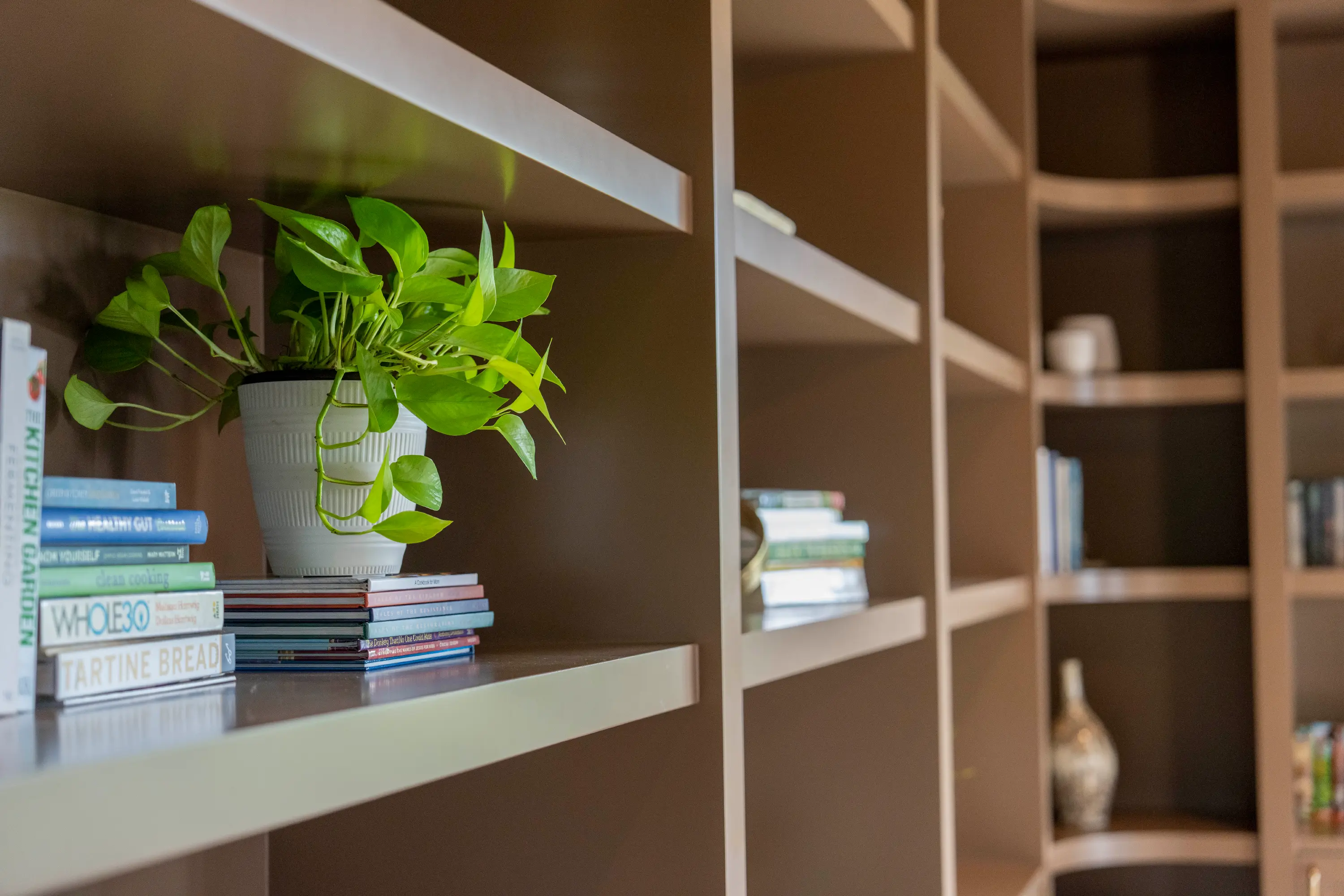 Green potted plant on a shelf next to stacked books in a room with brown shelving units.