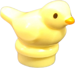 Canary