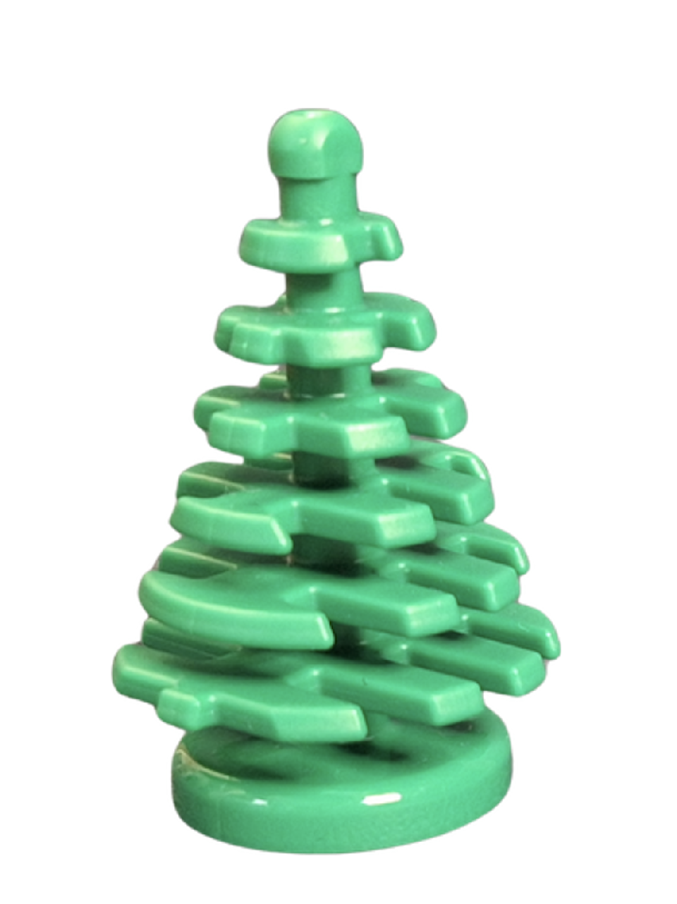 Spruce