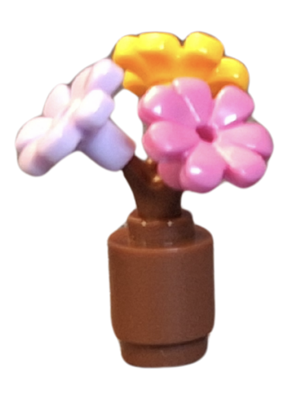 Daisy, Lilac, Sunflower