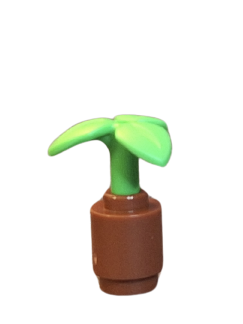Sprout