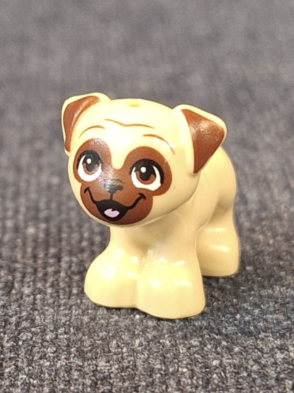 Pug