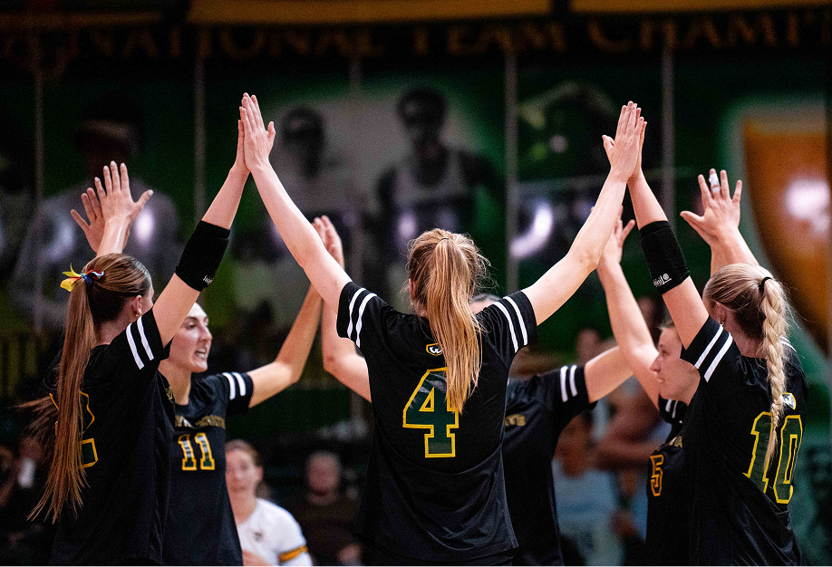 Wayne State volleyball teammates exchange high fives on the court.