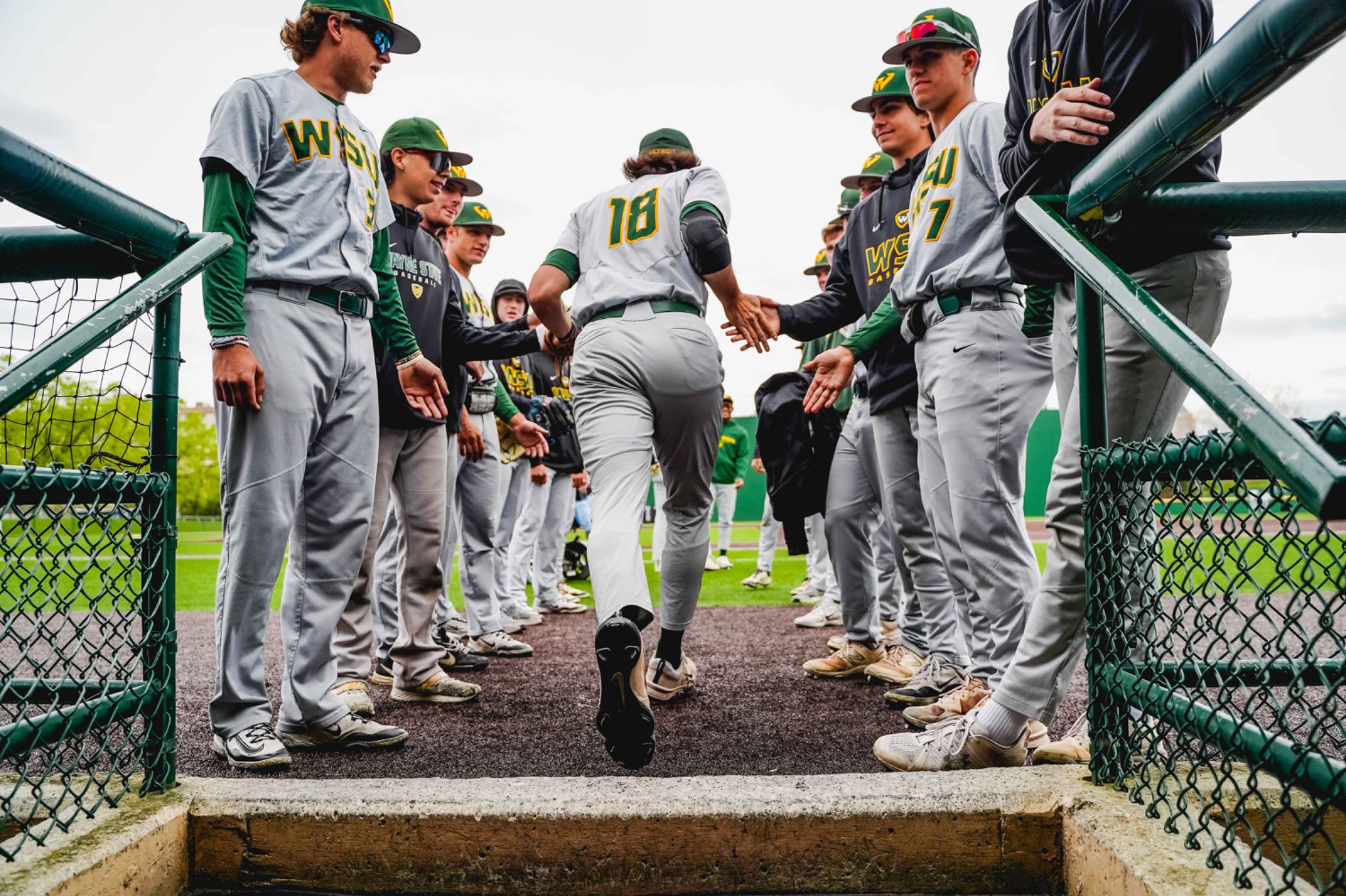 A Wayne State baseball player is greeted by teammates at the dugout entrance.