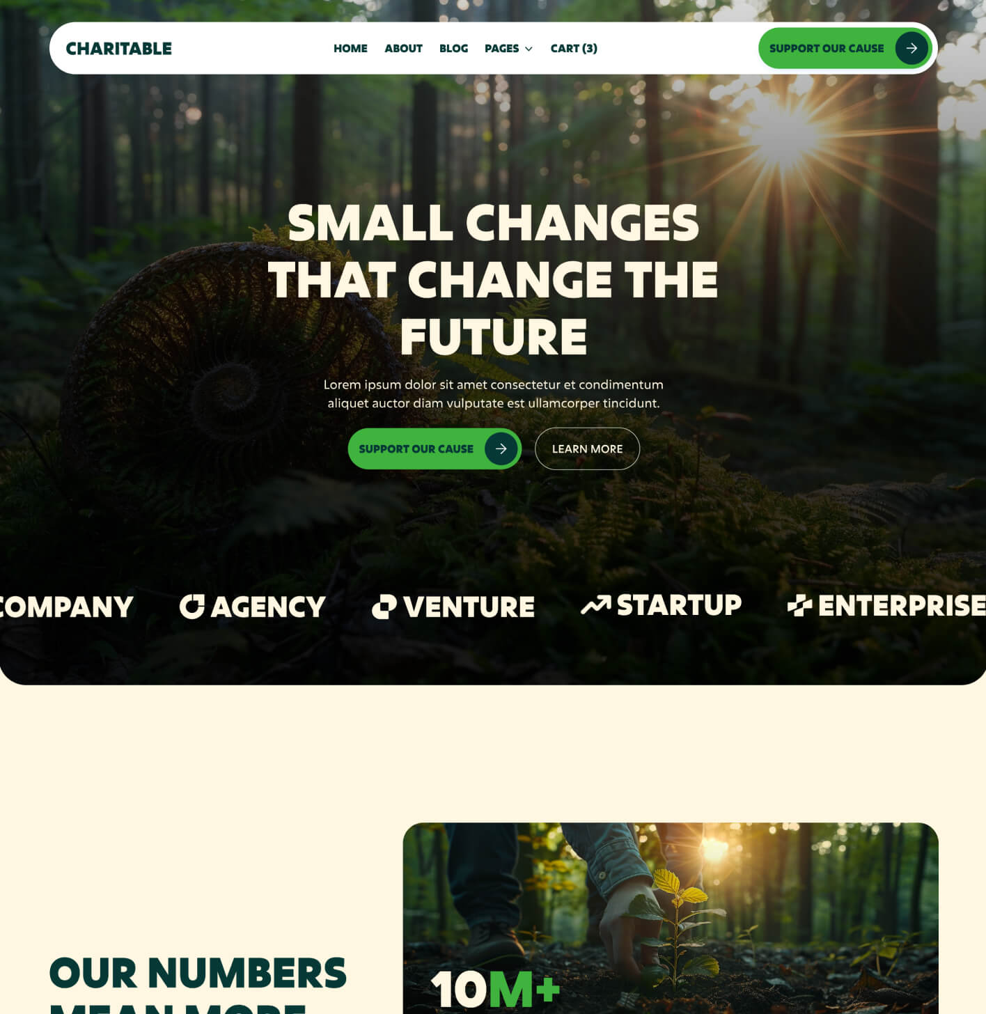 Charitable - Home V3 Page - Nonprofit Webflow Template