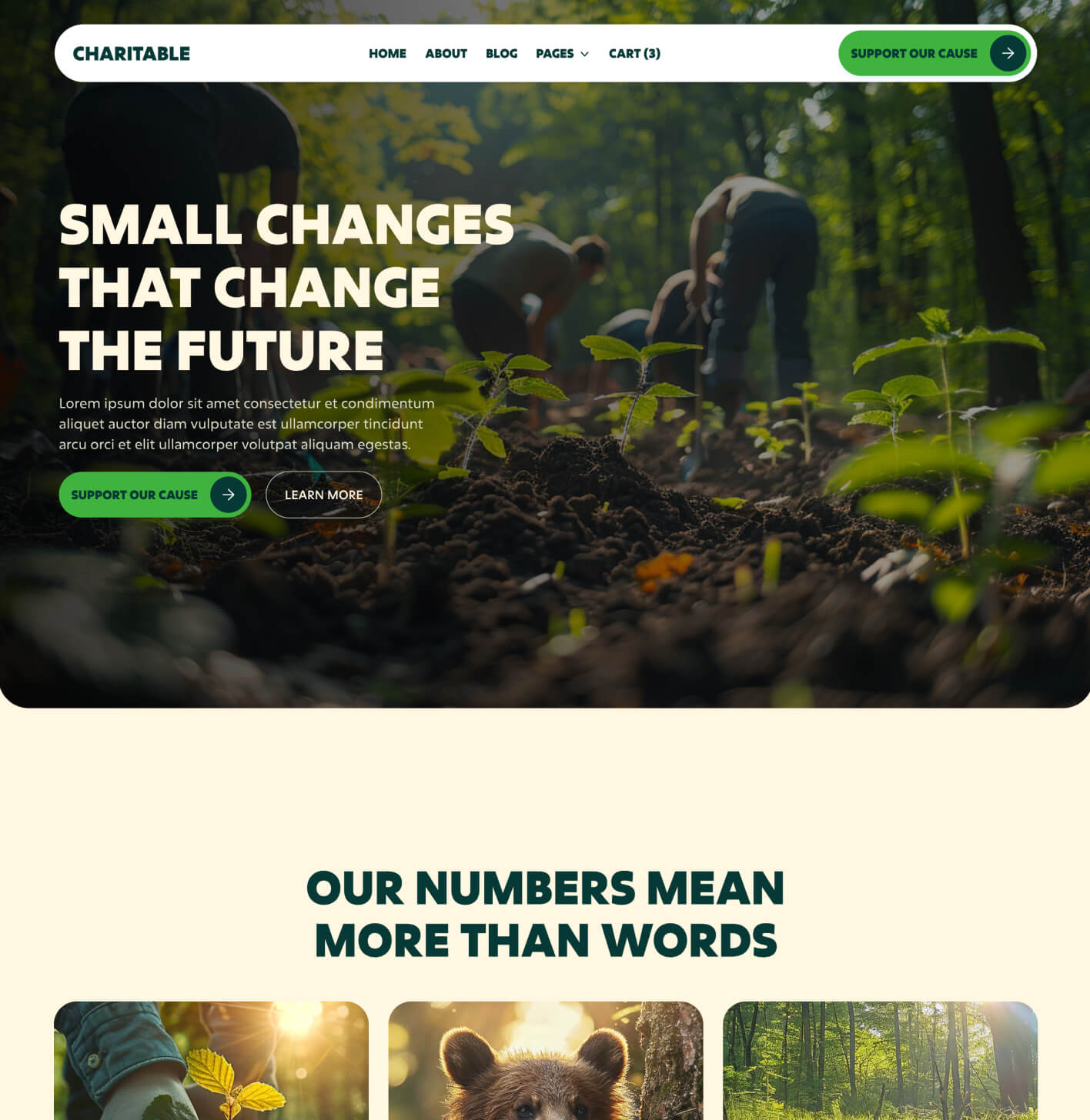 Charitable - Home V1 Page - Nonprofit Webflow Template