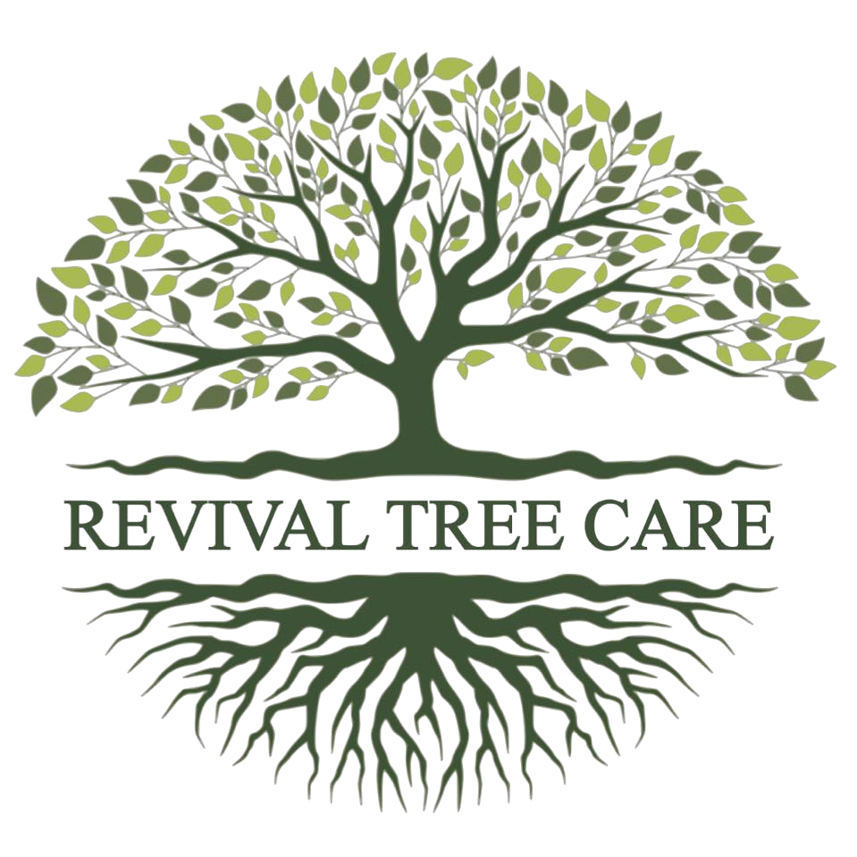 Revival Tree Care Logo a Tree Removal commpany in Bloomsurg, PA.