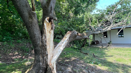 Emergency Tree Removal available 24/7 in Bloomsburg PA and Columbia County.