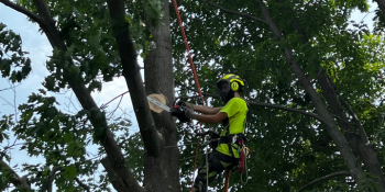 Storm Damage Tree Remvoal and Cleanup in Bloomsburg, PA and Columbia County, PA.