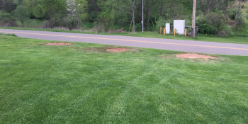 Stump Grinding and Removal in Bloomsburg PA and Columbia County PA.