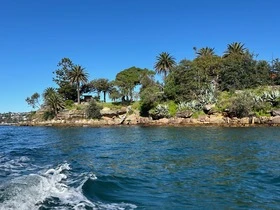Shark Island