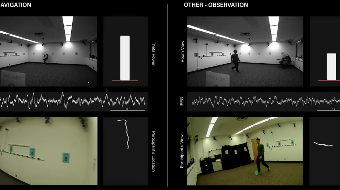 Graphic illustrating the brain's boundary-tracking mechanisms