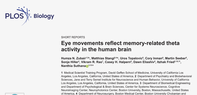 PLOS Biology article graphic on eye movements and memory