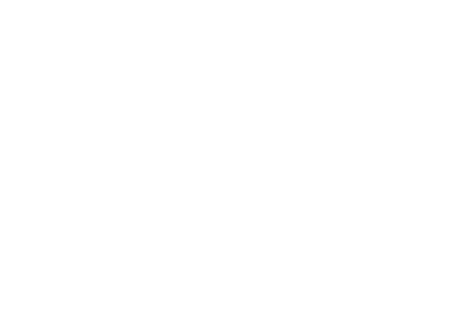 NIH Brain Initiative logo