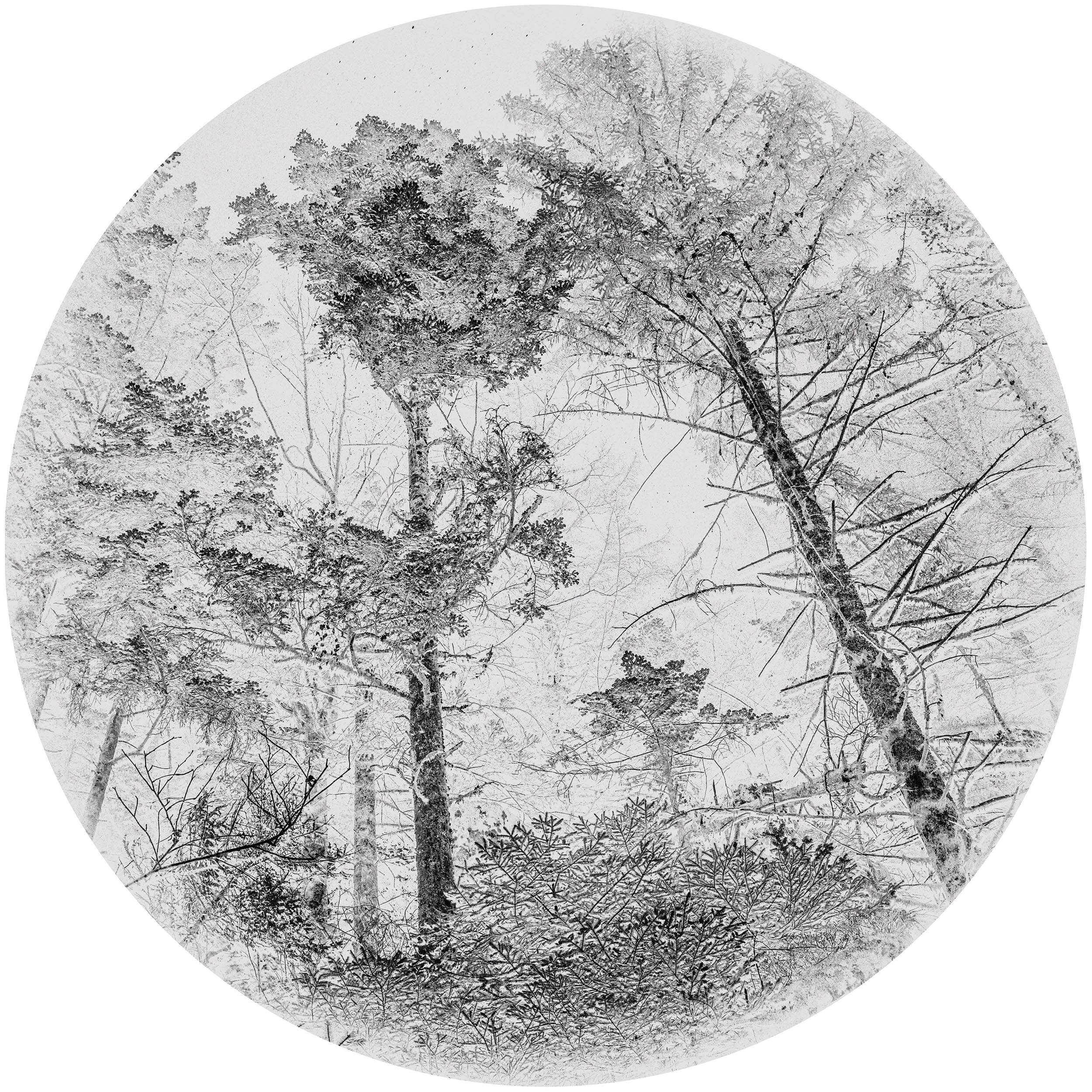 Vincent Bousserez