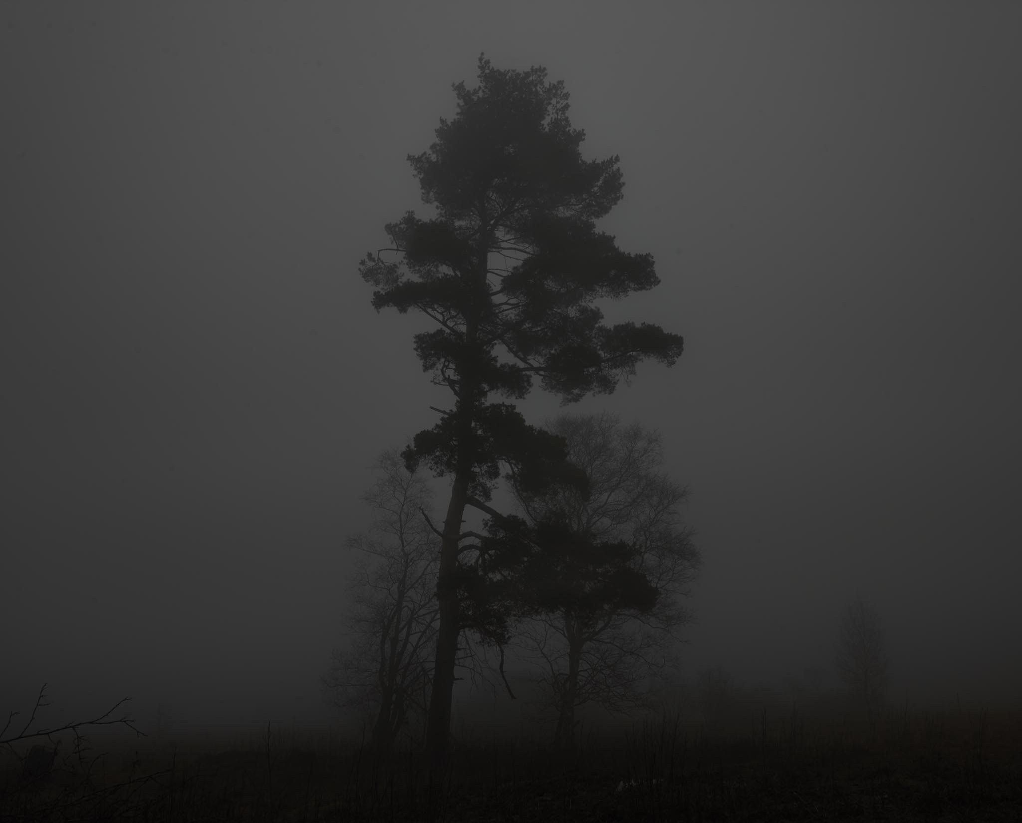 Michael Schnabel