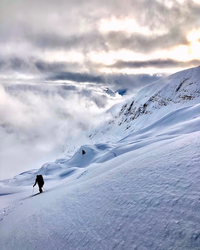skiing rogers pass backcountry