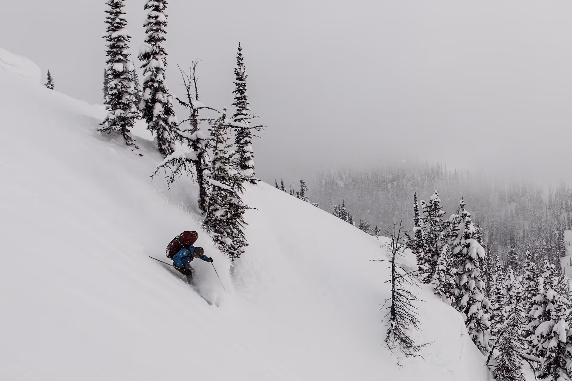 ski touring, powderhighway
