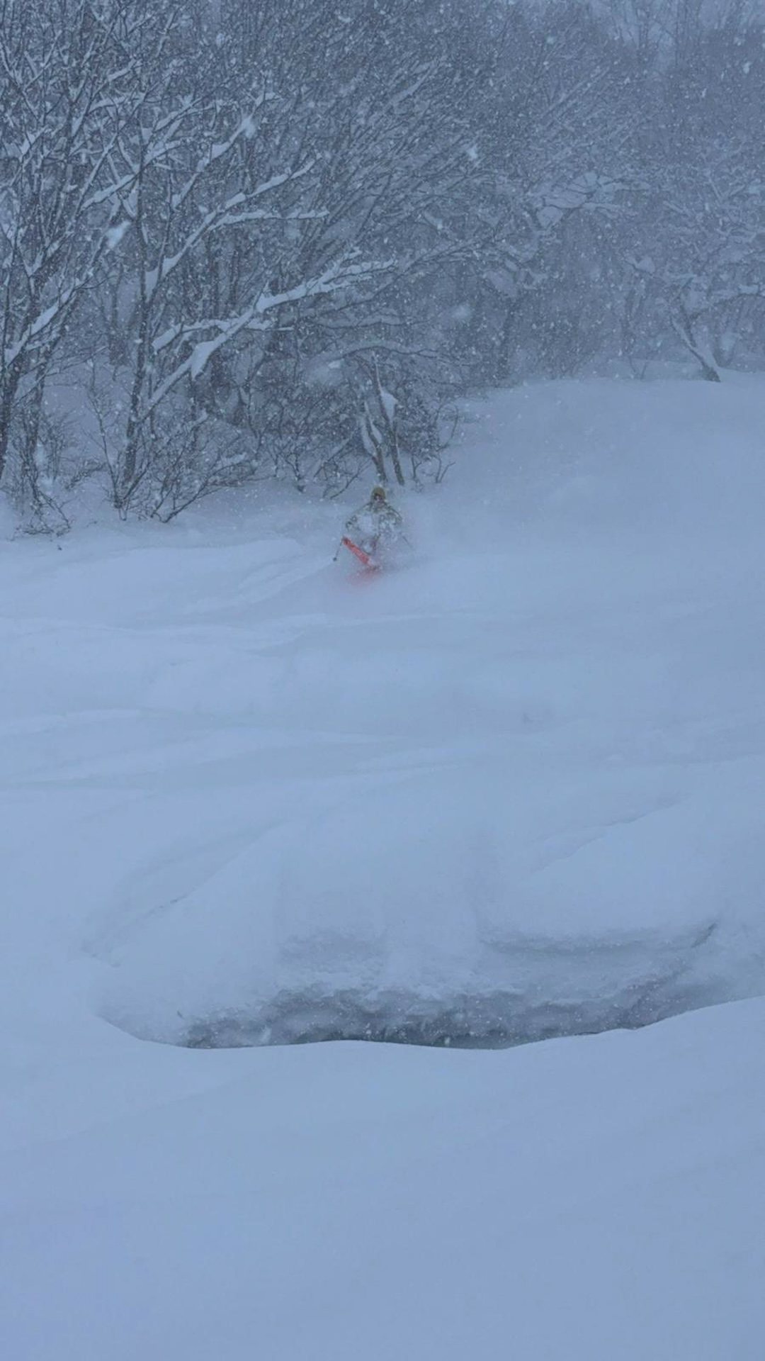 skiing rogers pass backcountry