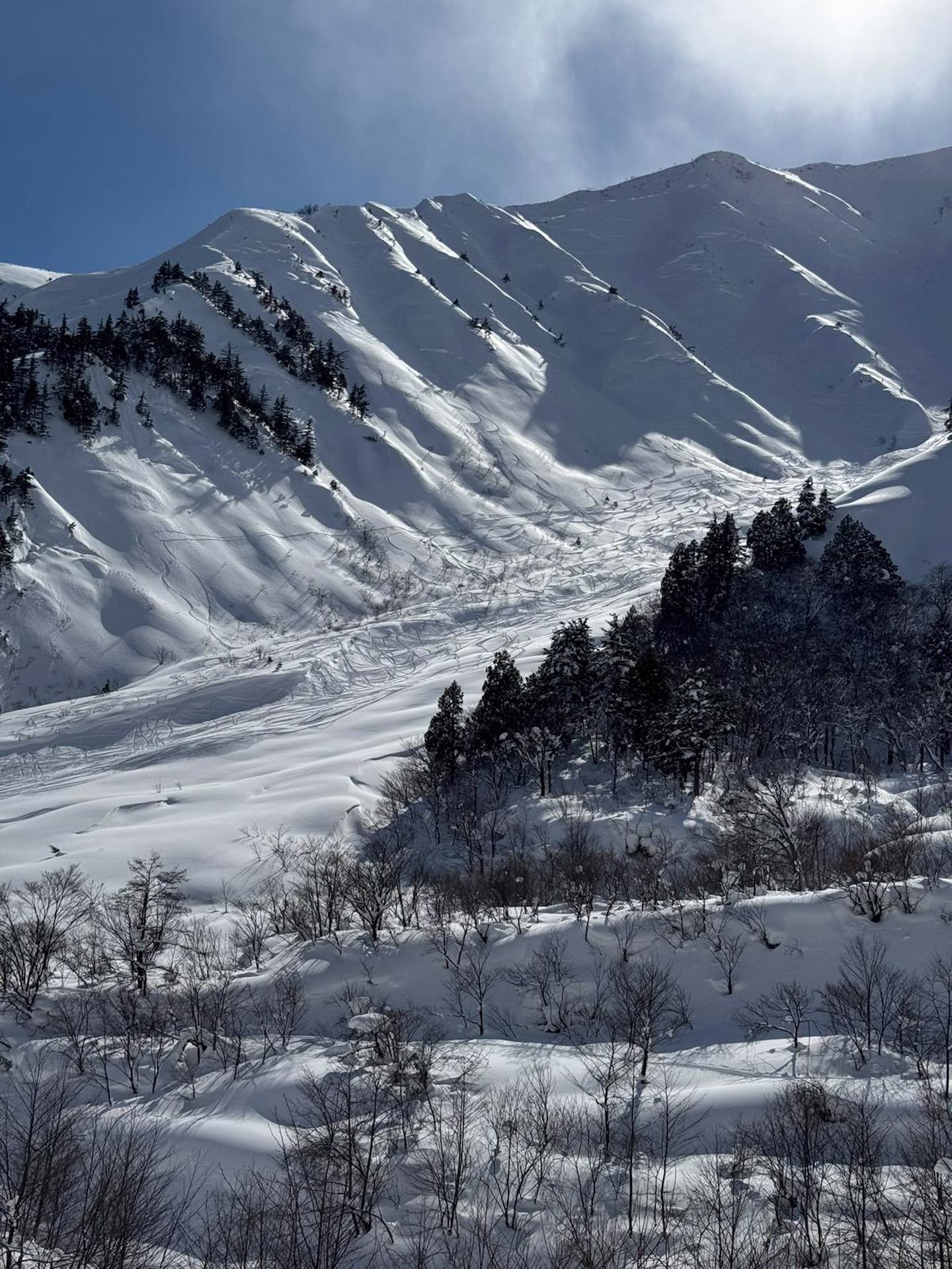 lyngen ski and sail trip