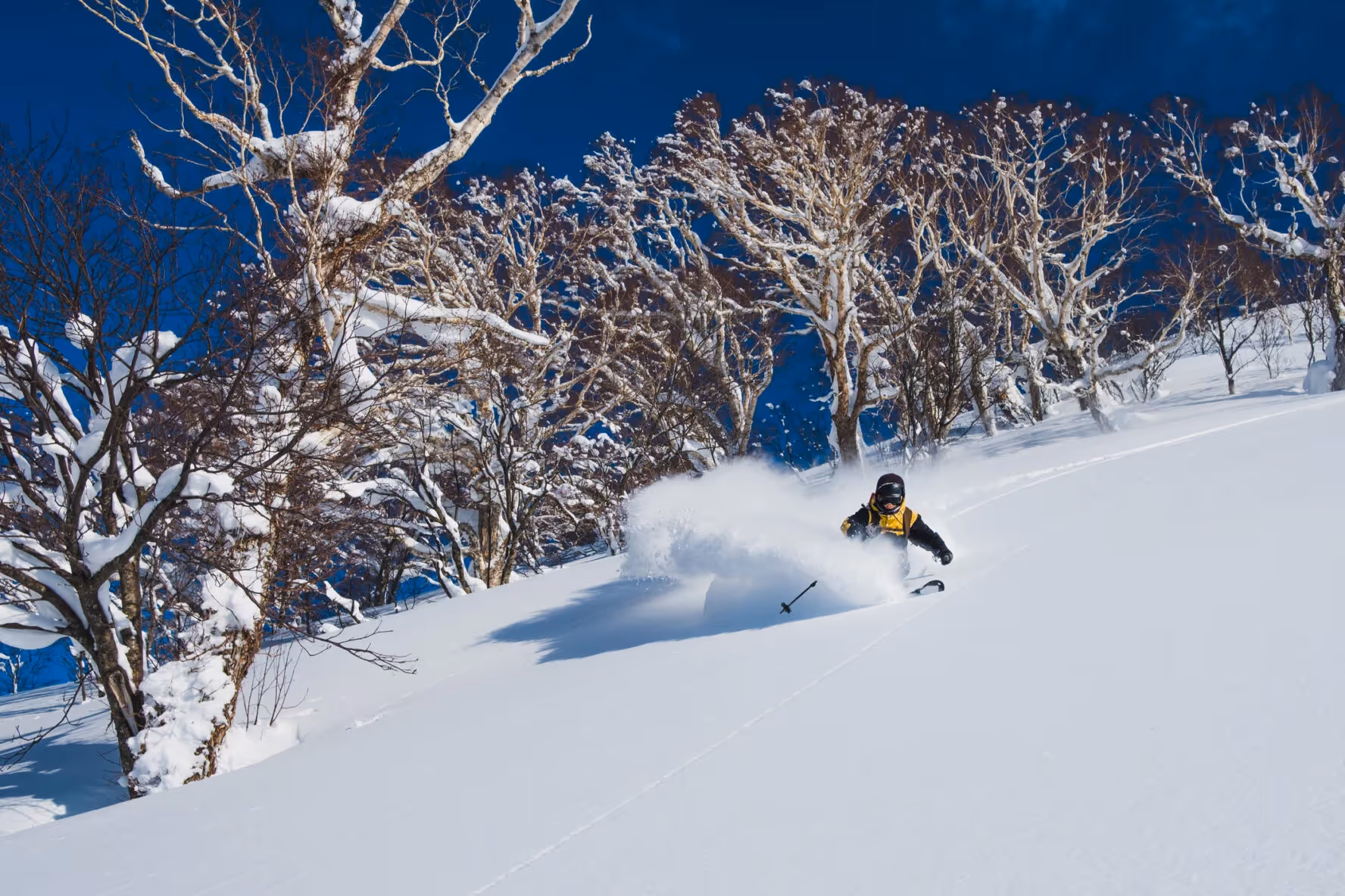 backcountry skiing japan