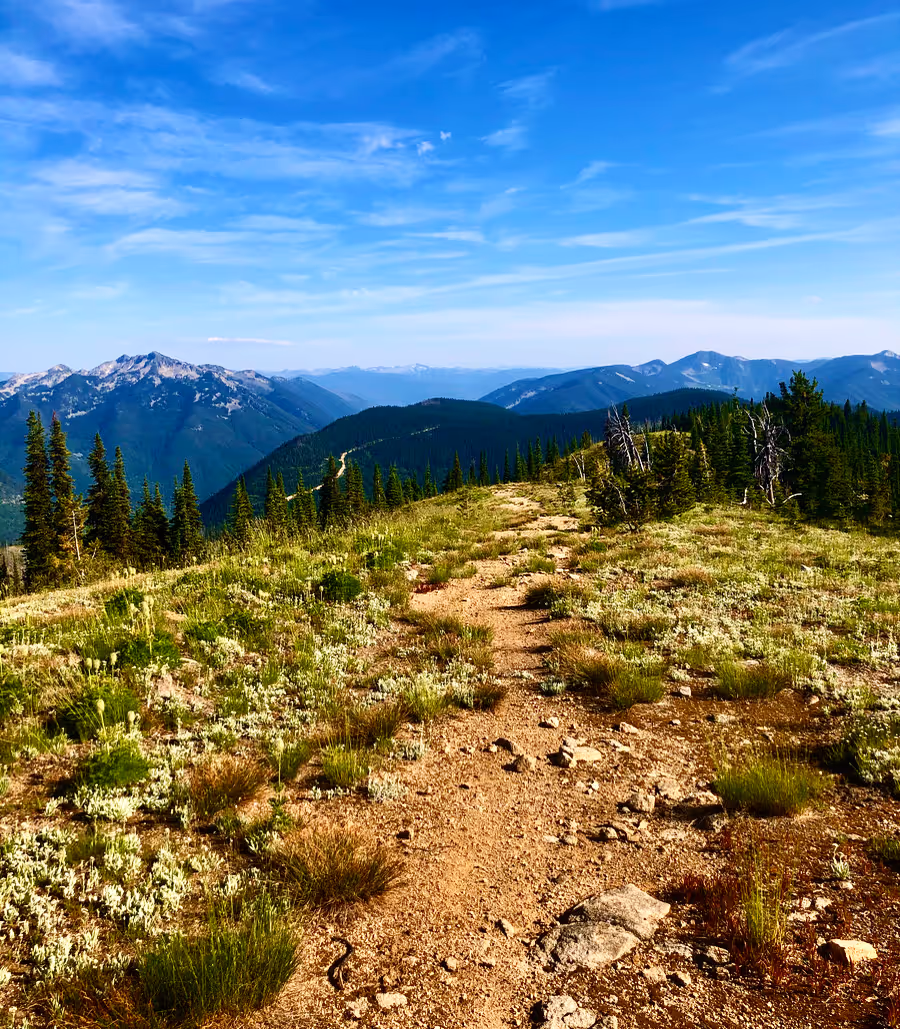 Kootenay Running, trail running