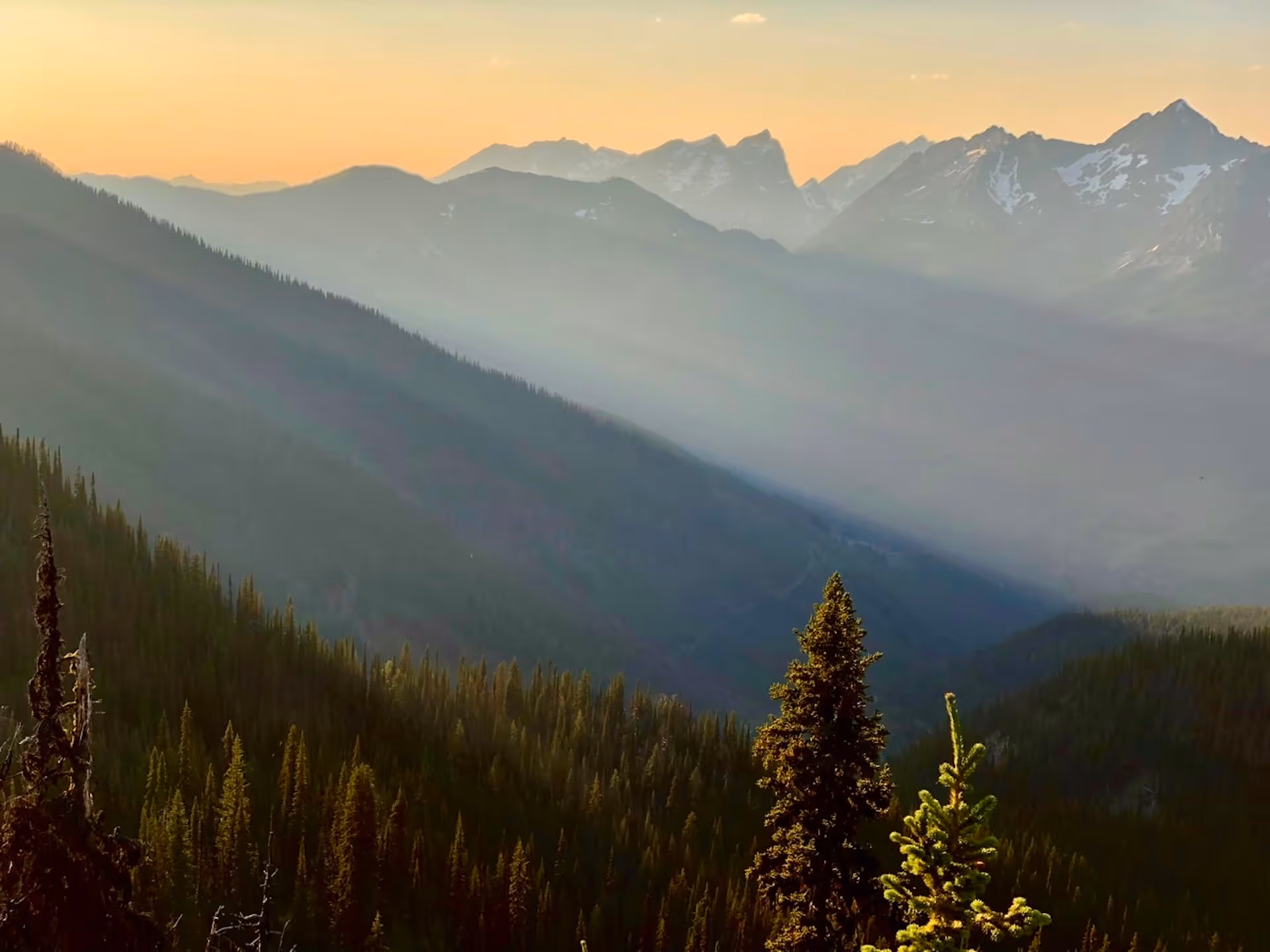 Slocan Farm Stay