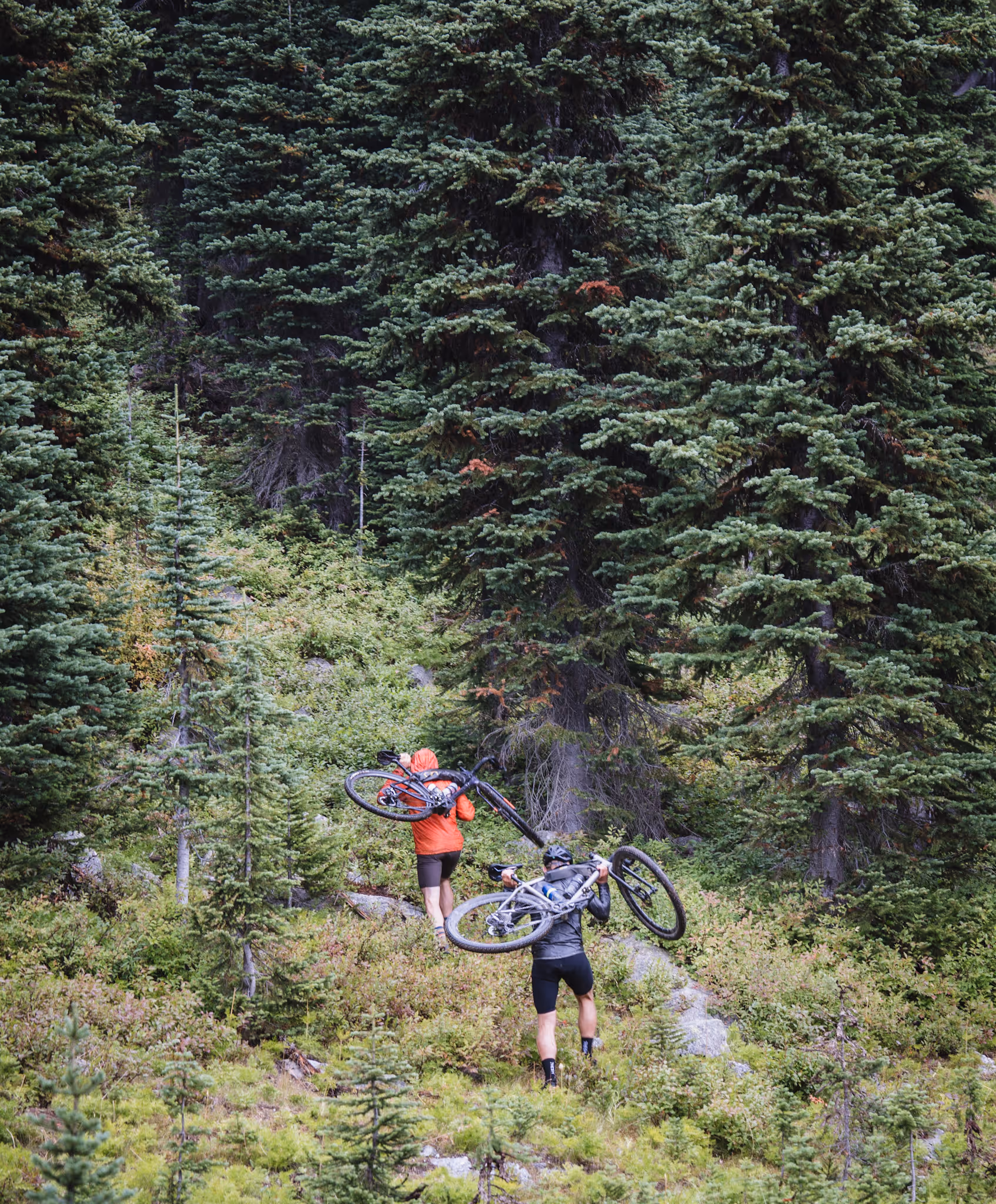 Backcountry navigation