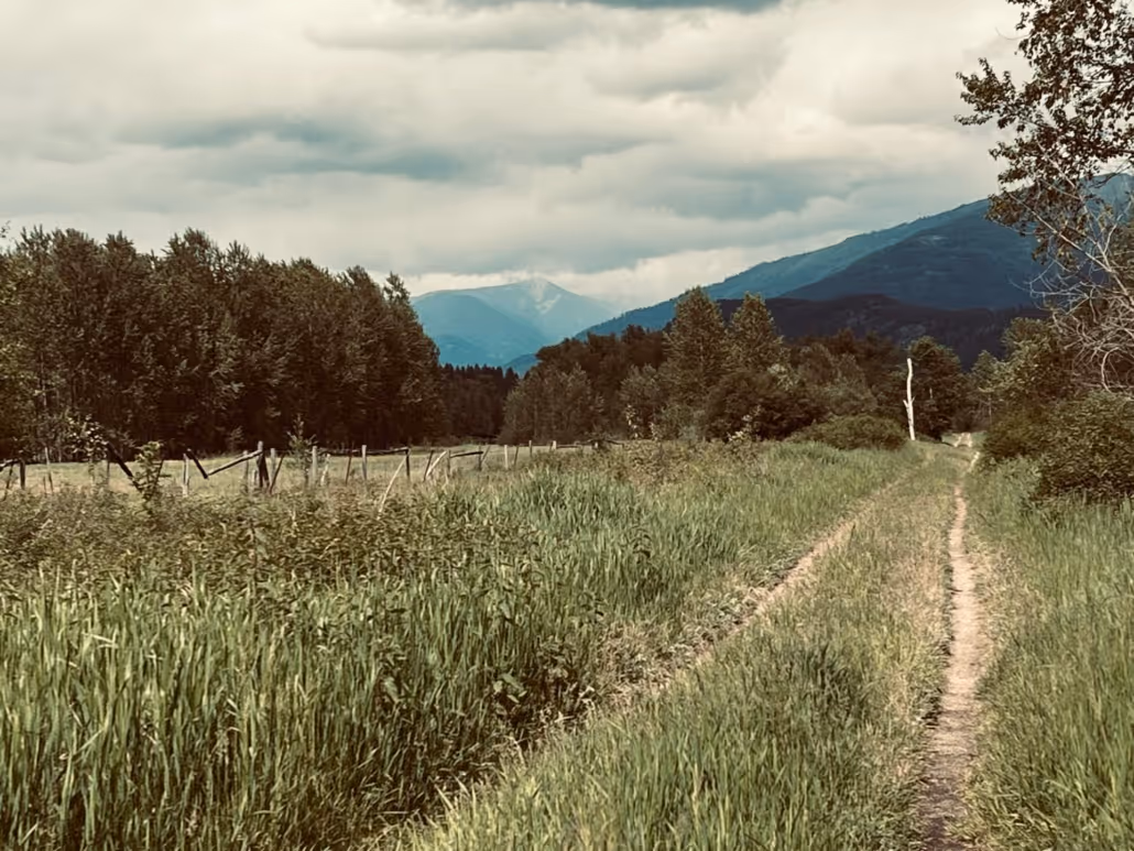 slocan rail trail, gravel biking