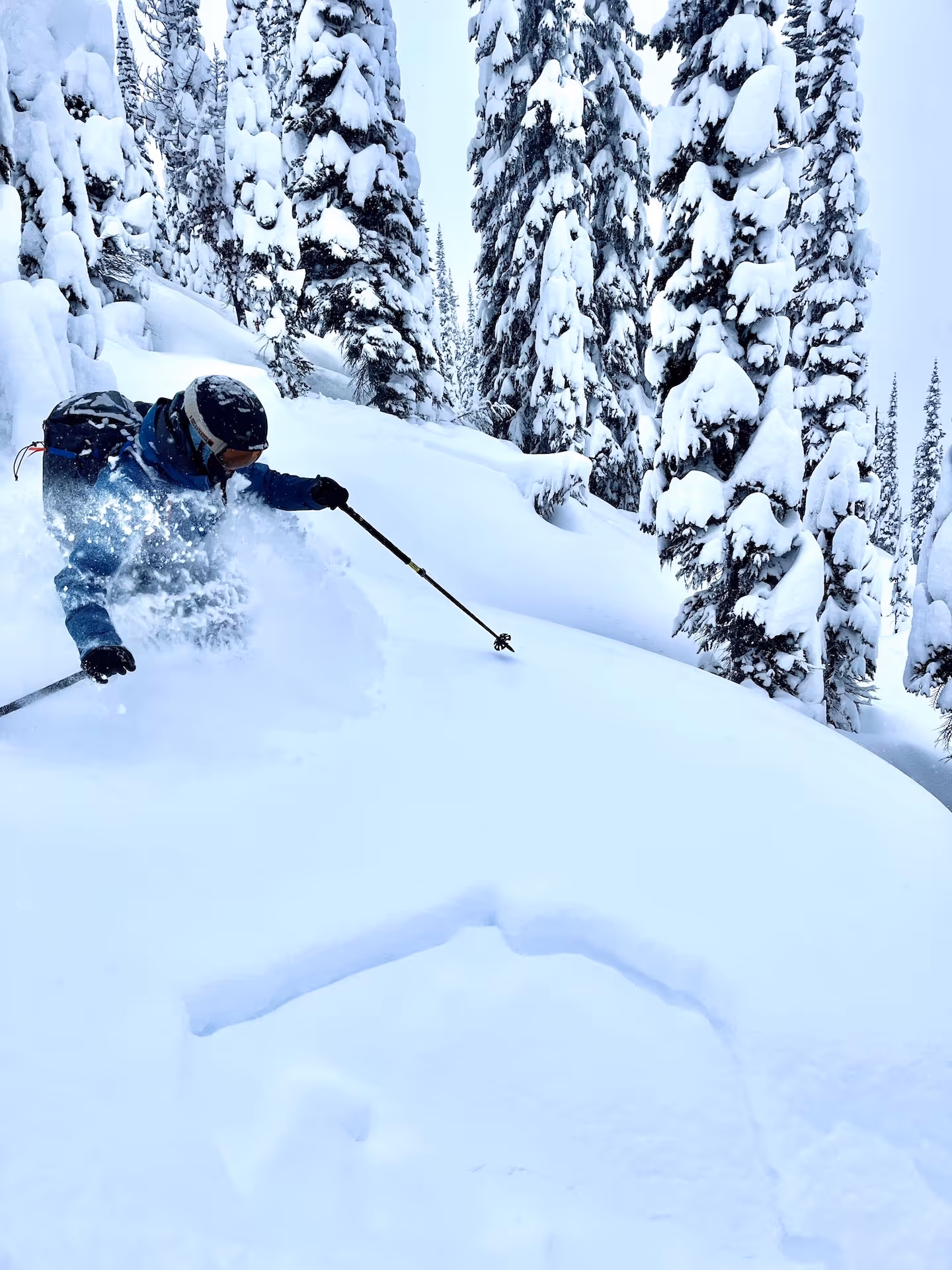 Nelson backcountry skiing, splitboarding