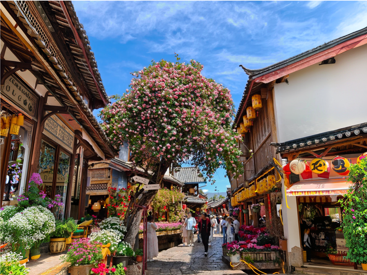 Summer street view of Lijiang Old Town