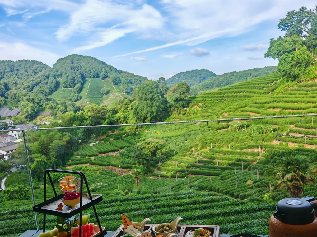 Longjing tea terraces in Hangzhou, China