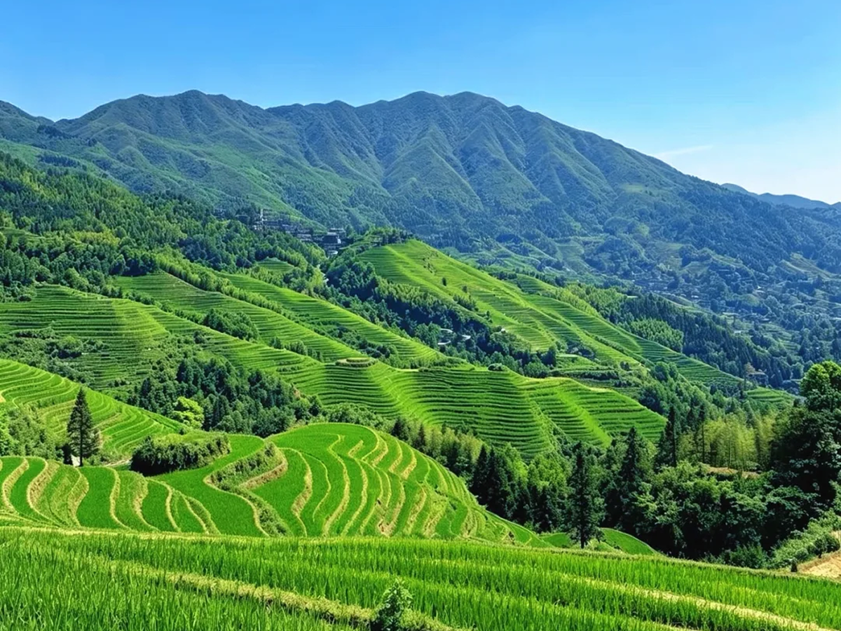 Layered rice terraces at Longji near Guilin