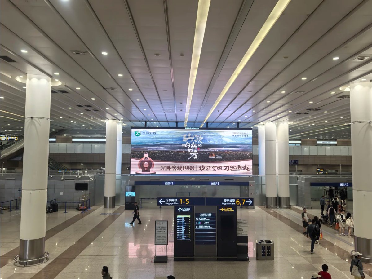 Arrivals at Shanghai Pudong Airport Terminal 2