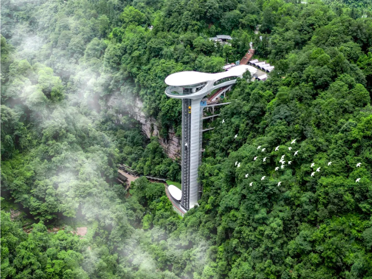 Bifengxia Giant Panda Base: Ya'an, Not the City Base