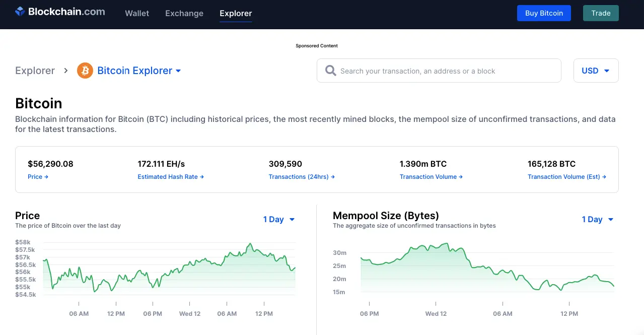 Blockchain.com Bitcoin Explorer showing searchable public blockchain data including transactions, price and mempool information