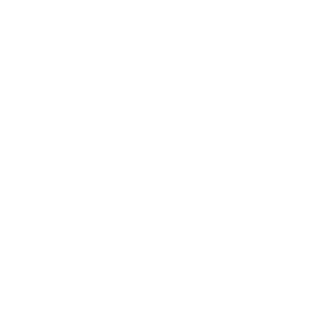 White Search Icon